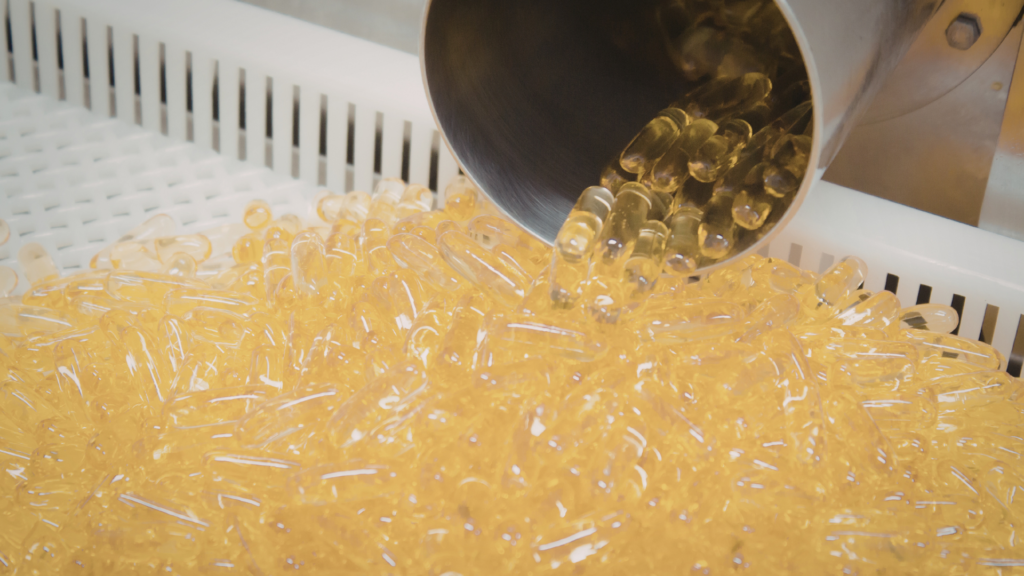 Capsules being poured into a filling tray, showing batch volume for a capsule filler Canada buyer might choose