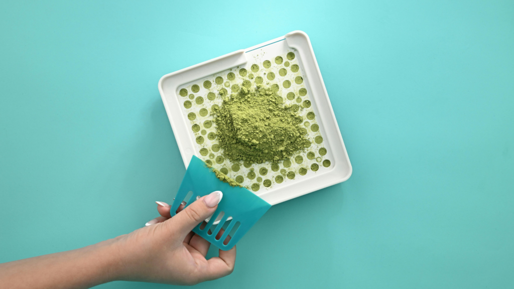 Pouring herbal powder onto a capsule filling machine plate