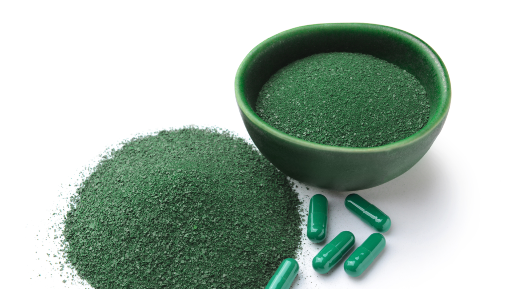 Powder and empty capsules laid out as basic supplies for how to make capsules at home