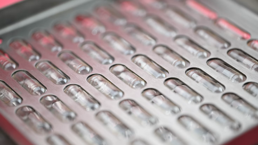 Empty capsules loaded into a stainless steel capsule filling machine tray.