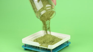 Powder being poured into a capsule filling machine tray during the filling process